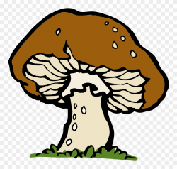 Pilz Groß Brown Kostenloses - Mushroom Clip Art - Png ...