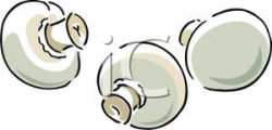 Clip Art Image: Three White Button Mushrooms