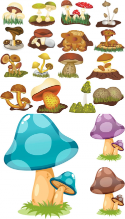 Cartoon Mushroom Drawings | Cartoon mushrooms vector ...