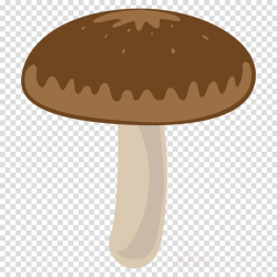mushroom shiitake edible mushroom champignon mushroom ...