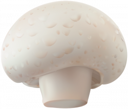 Champignon Mushroom Transparent Clip Art Image | Gallery ...