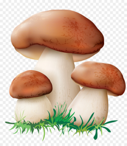 Mushroom Cartoon clipart - Mushroom, Illustration ...