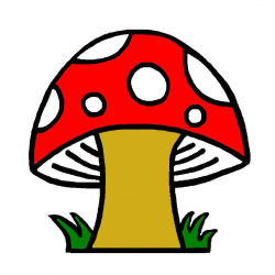 Mushroom Cartoon Drawing | Free download best Mushroom ...