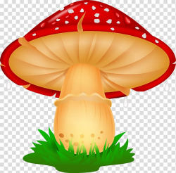 Mushroom Illustration, Cartoon beautifully fresh mushrooms ...