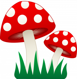 Download Free png Magical clipart mushroom #4 - DLPNG.com