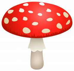 Mushroom Amanita Muscaria PNG Clipart - Best WEB Clipart