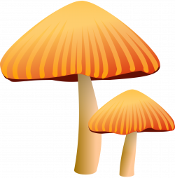 Clipart - Orange Mushroom
