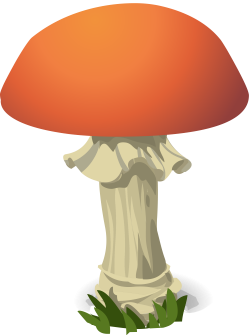 File:Mushroom-576463.svg - Wikimedia Commons