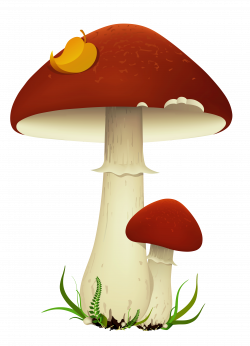 Fall Mushrooms Transparent PNG Picture | Gallery Yopriceville ...