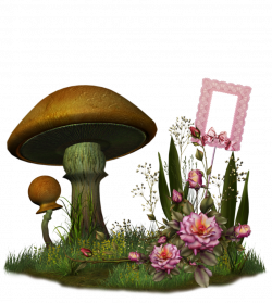 Fairy Mushroom by collect-and-creat on DeviantArt