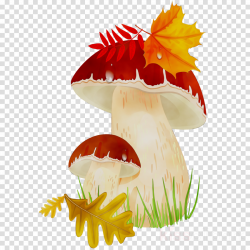 Flowers Clipart Background clipart - Mushroom, Plant ...