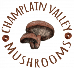 Champlain Valley Mushrooms - Vermont Farmers Market