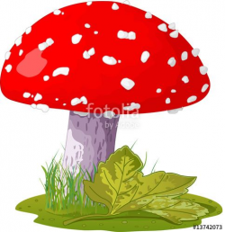 Fly agaric in a grass