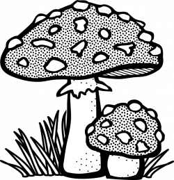 Mushroom Drawing Line art Fungus Clip art - mushroom 1231*1280 ...