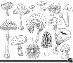 Mushroom clip art 