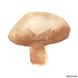 Hand painted watercolor mushroom clipart. Isolated on white ...