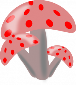 Ciuperci Mushrooms Clip Art at Clker.com - vector clip art online ...