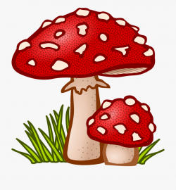 Mushroom Clipart Mushroom Plant - Mushroom Clipart #145688 ...