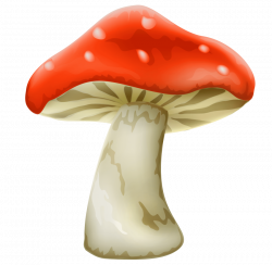 red mushroom with white dots png - Free PNG Images | TOPpng