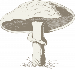 Clipart - mushroom