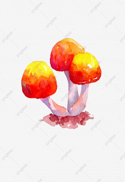 Hand Painted Mushrooms Watercolor Mushroom Autumn Mushroom ...