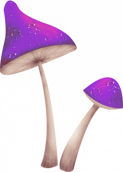 Fungus Mushroom Clip art - Purple mushrooms 500*701 transprent Png ...