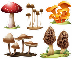 Free Realistic Clipart mushroom, Download Free Clip Art on ...