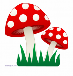 Mushroom Clipart Realistic Mushroom Clip Art - Clip Art Library