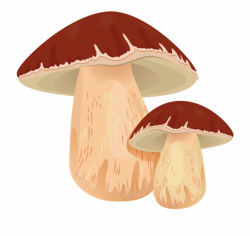 Drawing Mushrooms Shiitake Mushroom - Mushroom, Transparent ...