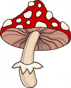 Amazon.com: Cute Simple Red Fairytale Forest Mushroom ...