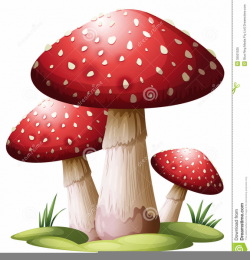 Free Magic Mushroom Clipart | Free Images at Clker.com ...
