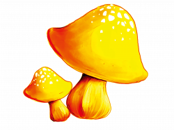 Download ping Clip art - Small golden mushrooms 2362*1772 transprent ...