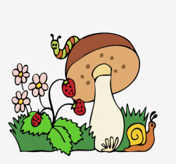 Small Mushroom, Mushroom Clipart, Cartoon PNG Image and ...