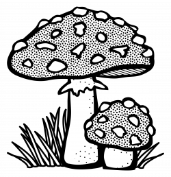 Toadstool Drawing at GetDrawings.com | Free for personal use ...