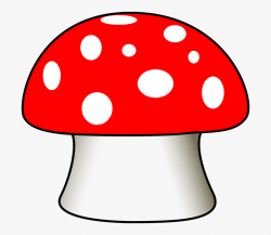 Mushroom Toadstool Fungus Poisonous Toxic Red Cap - Cartoon ...