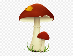Fall Mushroomspicture Png - Mushrooms Clipart Transparent ...