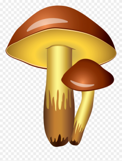 Mushrooms - Mushroom Clipart Transparent Background - Png ...