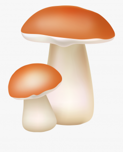 Two Mushrooms Png Cliaprt - Png Clipart Mushroom Png #145860 ...