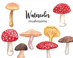 WATERCOLOR CLIPART, mushroom clipart, watercolor clipart, commercial use,  fall clipart, nature clipart, scrapbooking, graphic elements, png