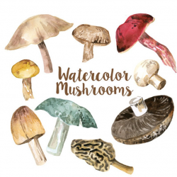 Watercolor Mushrooms Clip Art Set, Digital Mushroom Clipart, Fungi  Watercolors, Fungus Clip Art, Culinary Clipart, Mushroom Art, Food Art