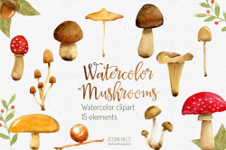 watercolor mushroom clipart , #Affiliate, #saved ...