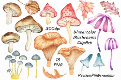 Watercolor mushrooms clipart, Digital mushrooms clip art, watercolour,  autumn, leaves, PNG, For Personal and Commercial Use