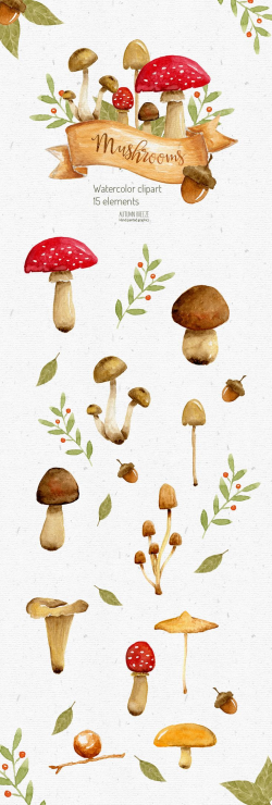 watercolor mushroom clipart, woodland clipart, Watercolor ...