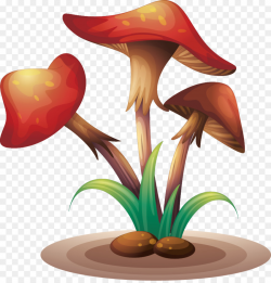 Fungus Mushroom Clip art - wild mushrooms