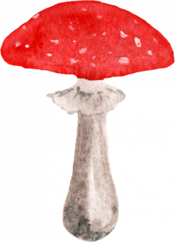 ftestickers watercolor clipart woodlands mushroom...