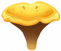 Yelow Chanterelle Mushroom PNG Clipart - Best WEB Clipart