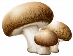 Mushrooms PNG Clipart Picture | Gallery Yopriceville - High-Quality ...
