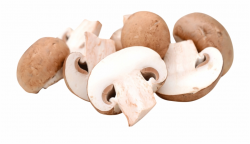 Champignon Mushroom Free PNG Images & Clipart Download ...