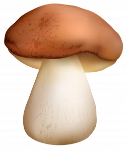 Boletus Mushroom PNG Clipart - Best WEB Clipart