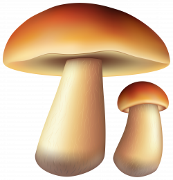 Mushrooms Free PNG Clip Art Image | Gallery Yopriceville - High ...